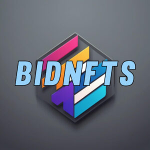 BidNFTs.com